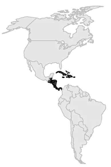 Regional Hub: Central America