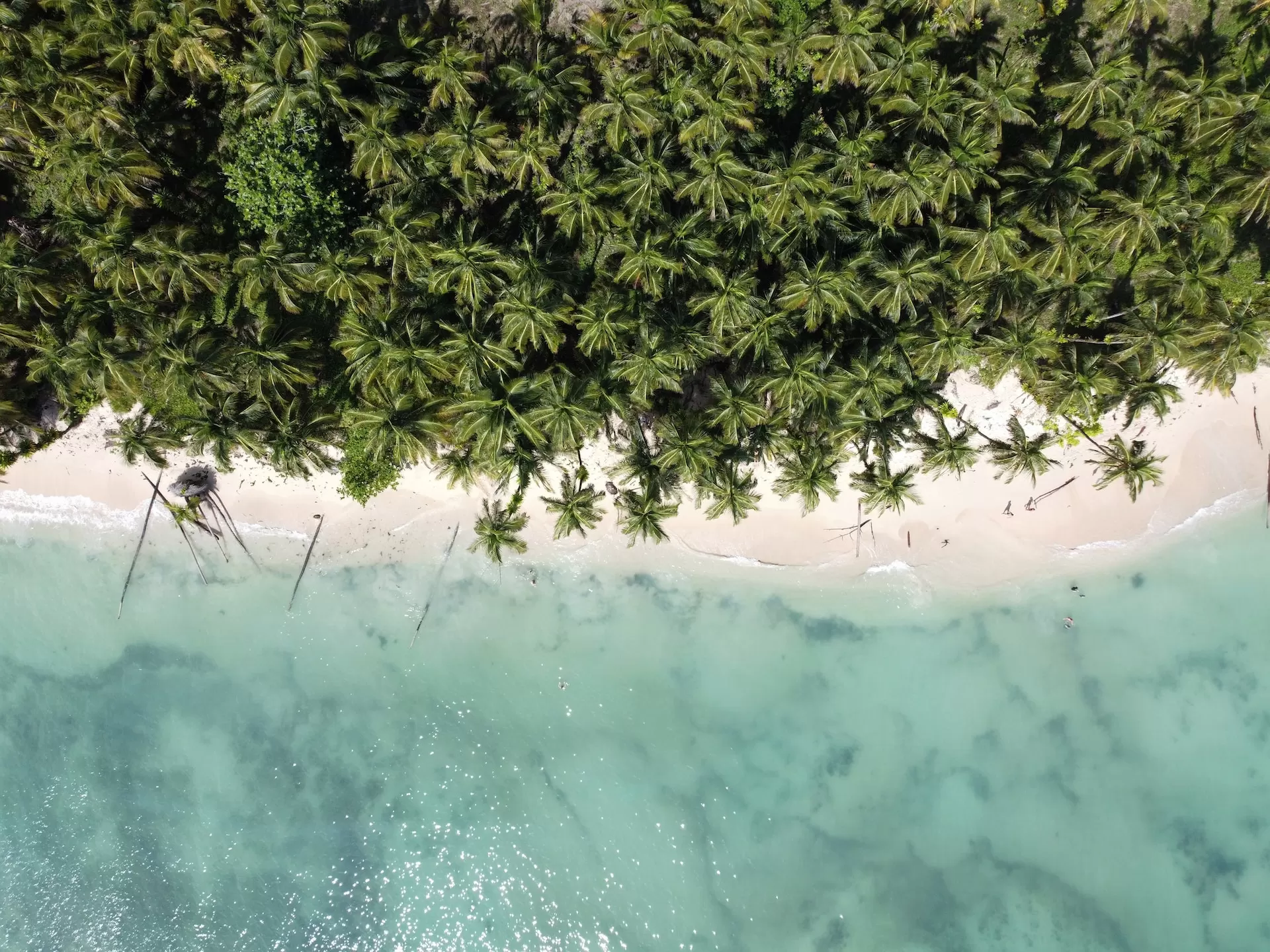 New Climate Action Transparency Hub Launched for Central American Countries