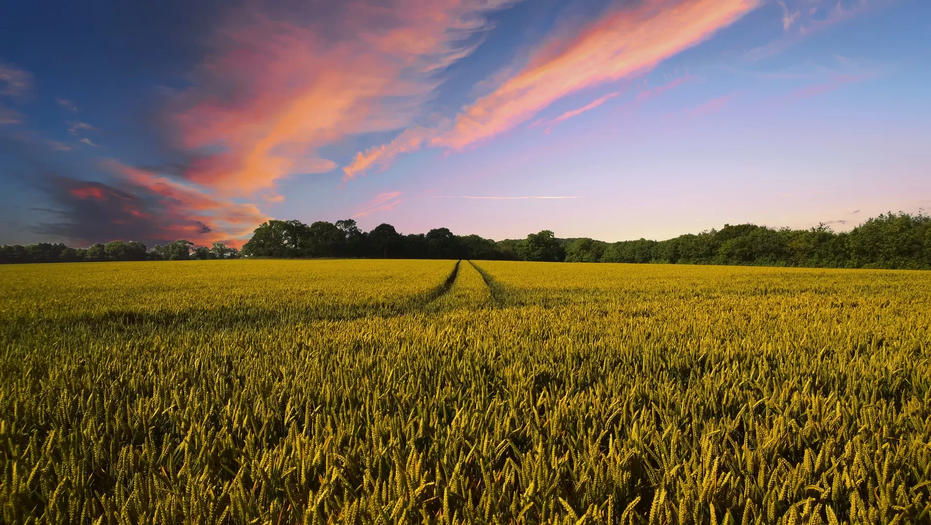 Now available: New capacity building modules for ICAT’s Forestry and Agriculture Assessment Guides