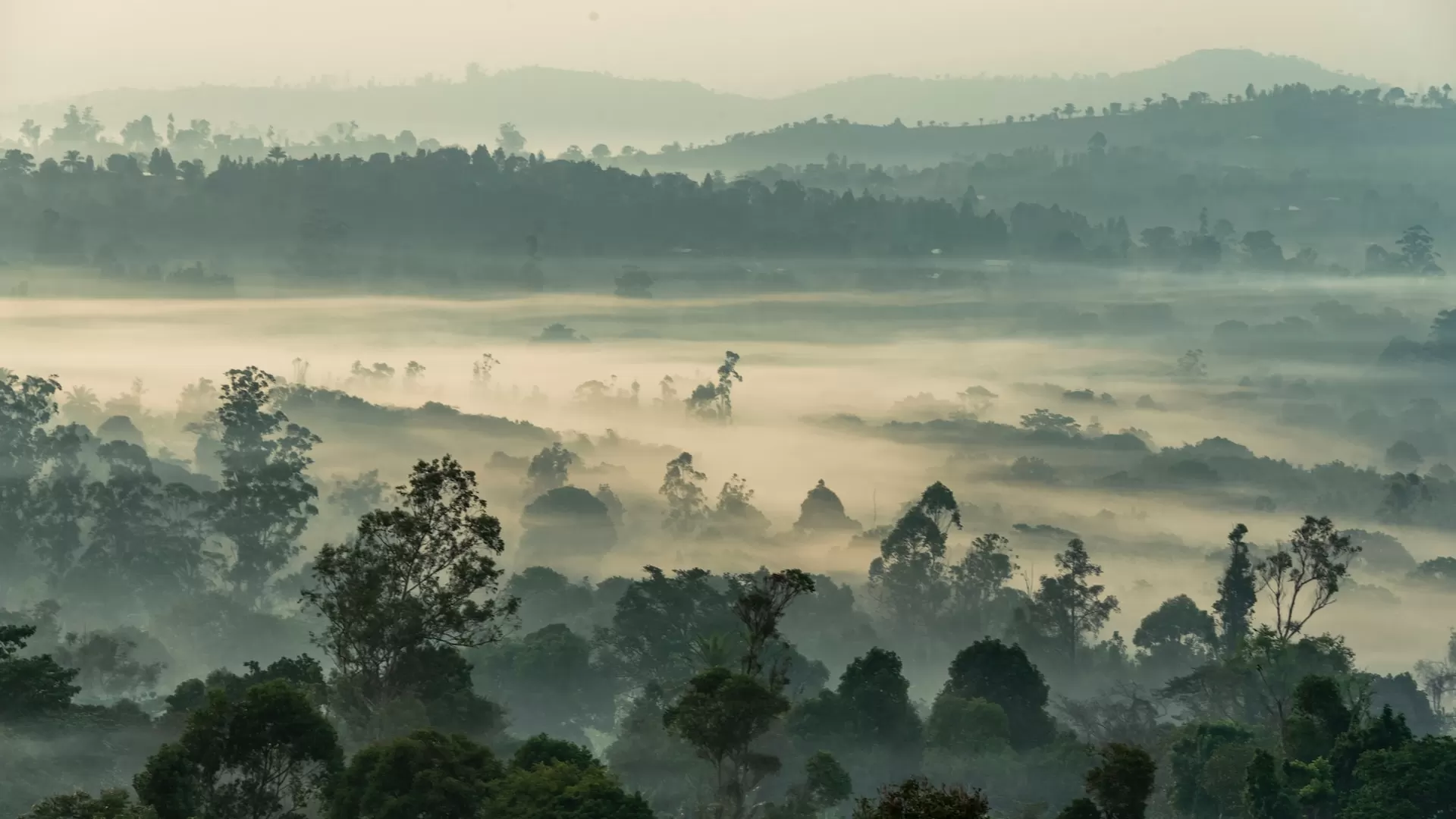 Central African Countries Develop Enhanced Transparency Action Plans