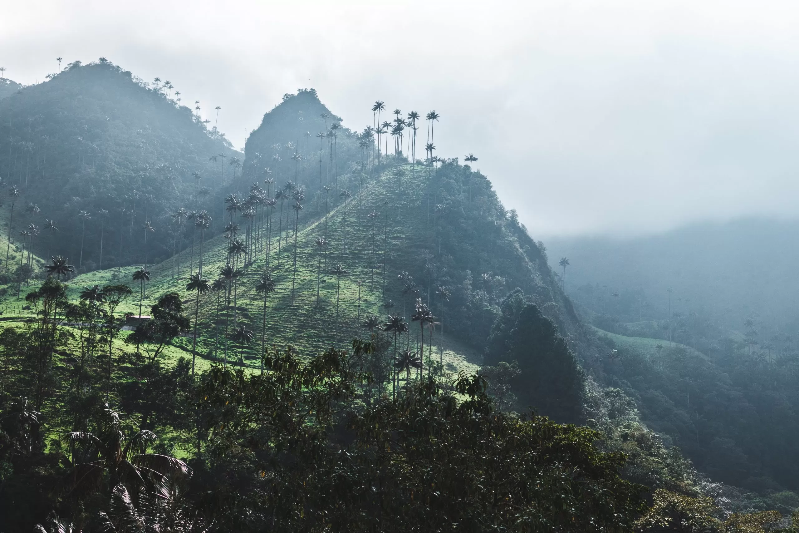 Case study: Quantifying emissions impact of subnational and non-state actors in Colombia
