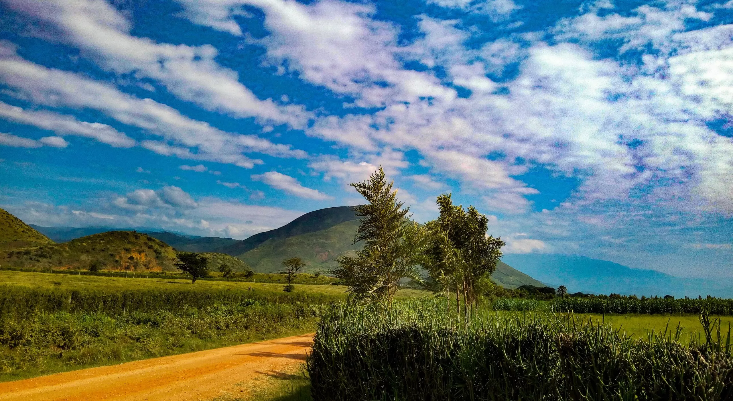 ICAT project launched in Uganda to strengthen climate transparency in transport and waste
