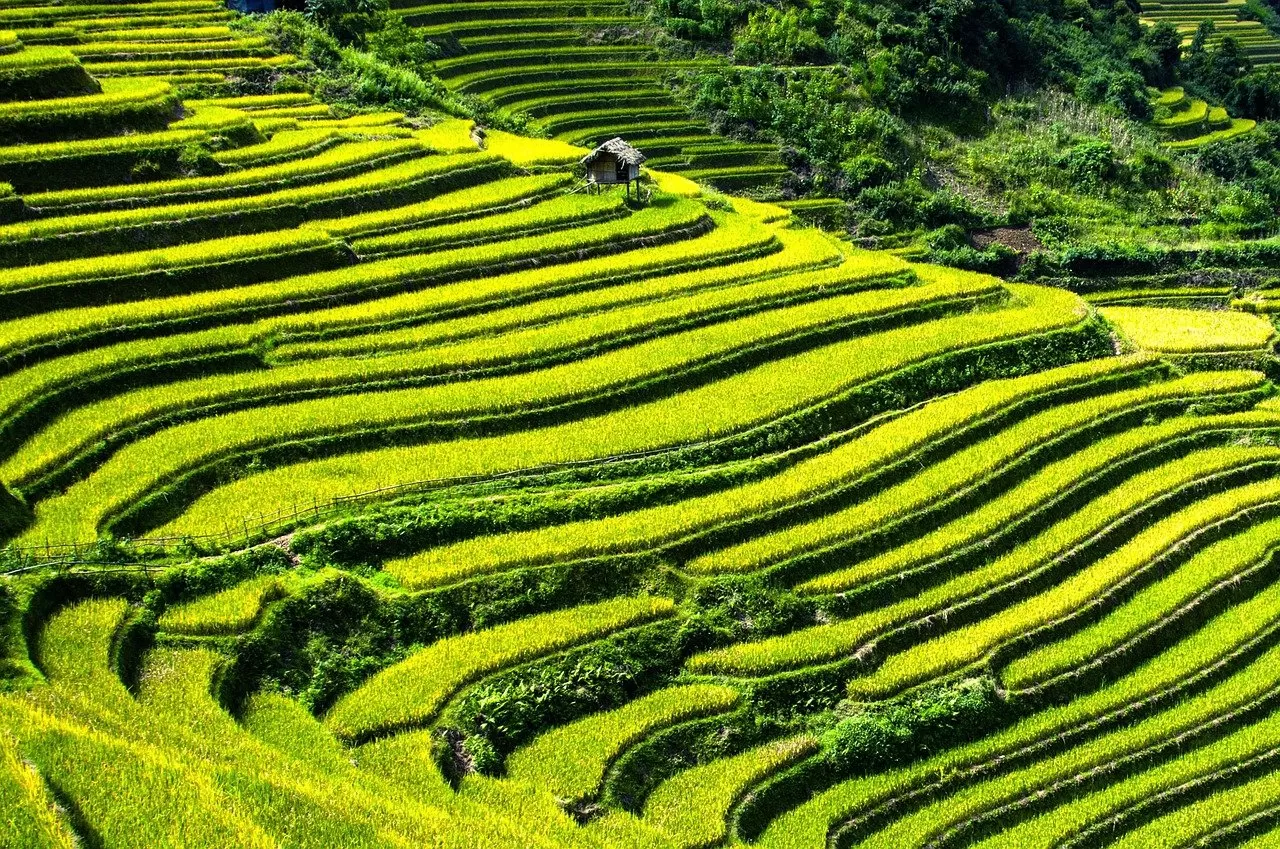 Vietnam: Assessing the impact of climate mitigation initiatives