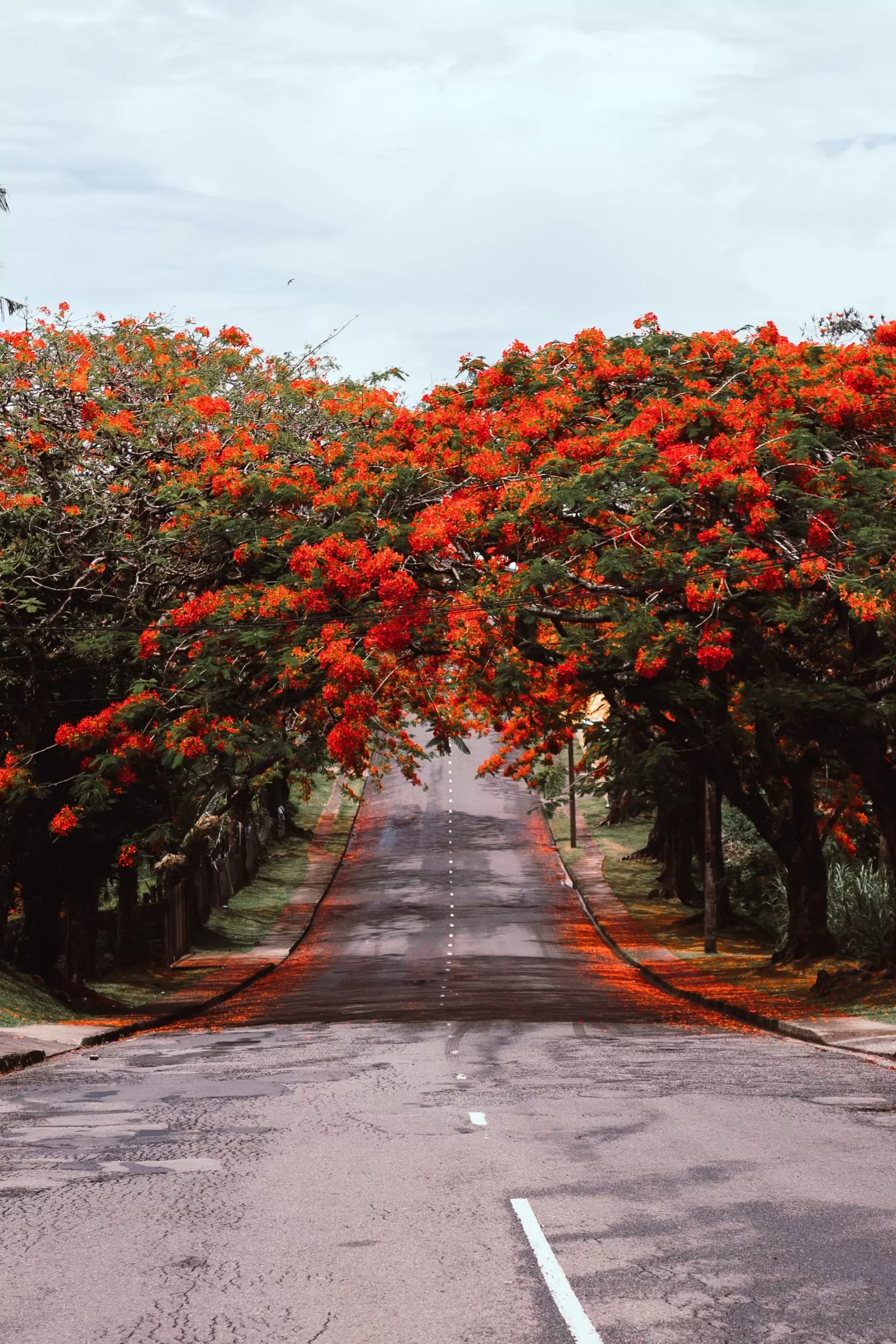 Case Study: Developing a blueprint for an MRV system for the agriculture sector in Fiji